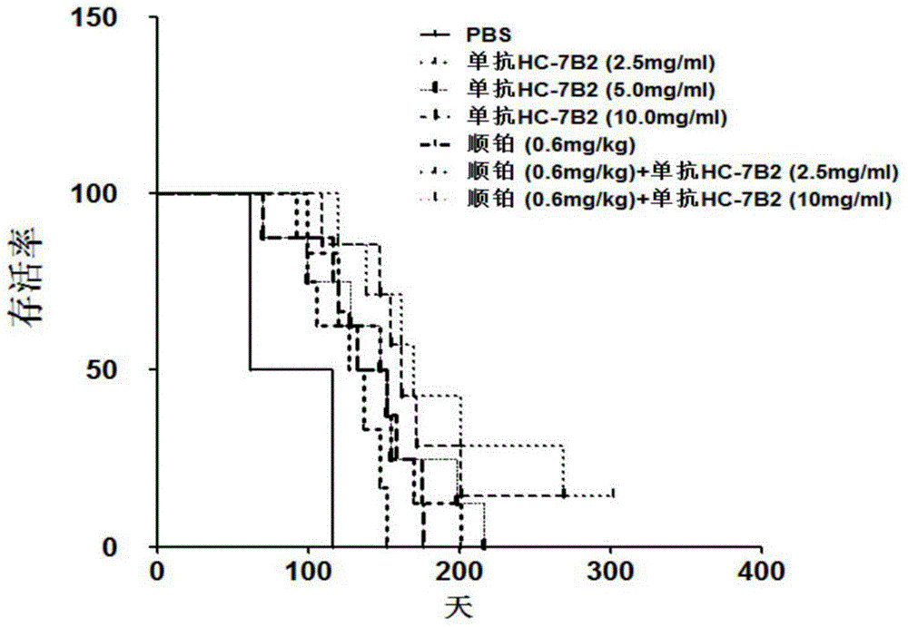 Anti-human-liver-cancer-stem-cell monoclonal antibody