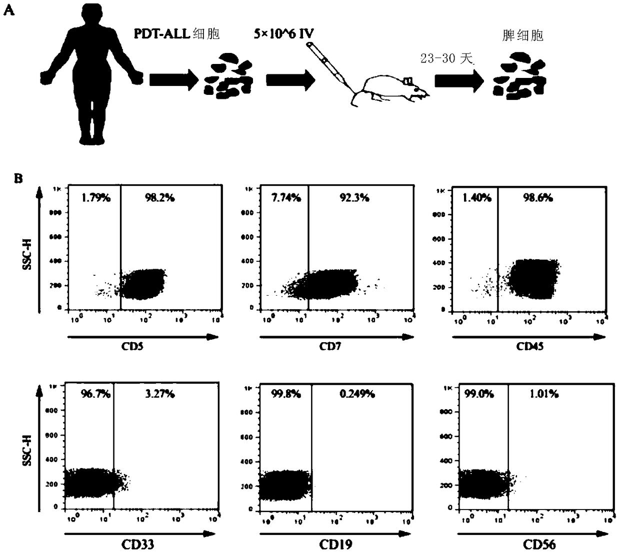 Application of PD1 molecule inhibitor in T lymphocytic leukemia treatment