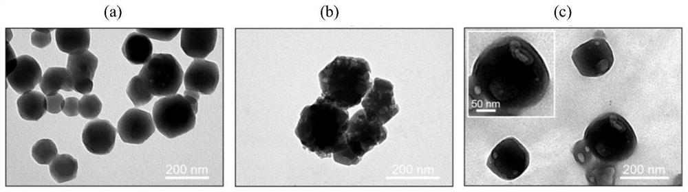 A biomimetic nano-carrier with dual functions of oxidation and anti-oxidation, its preparation method and application