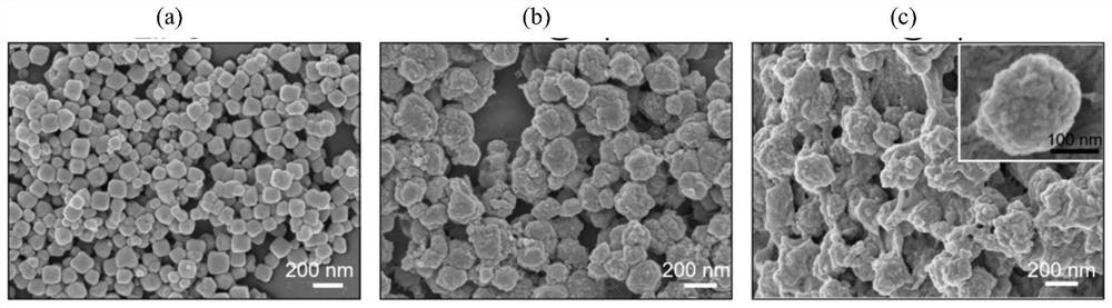 A biomimetic nano-carrier with dual functions of oxidation and anti-oxidation, its preparation method and application