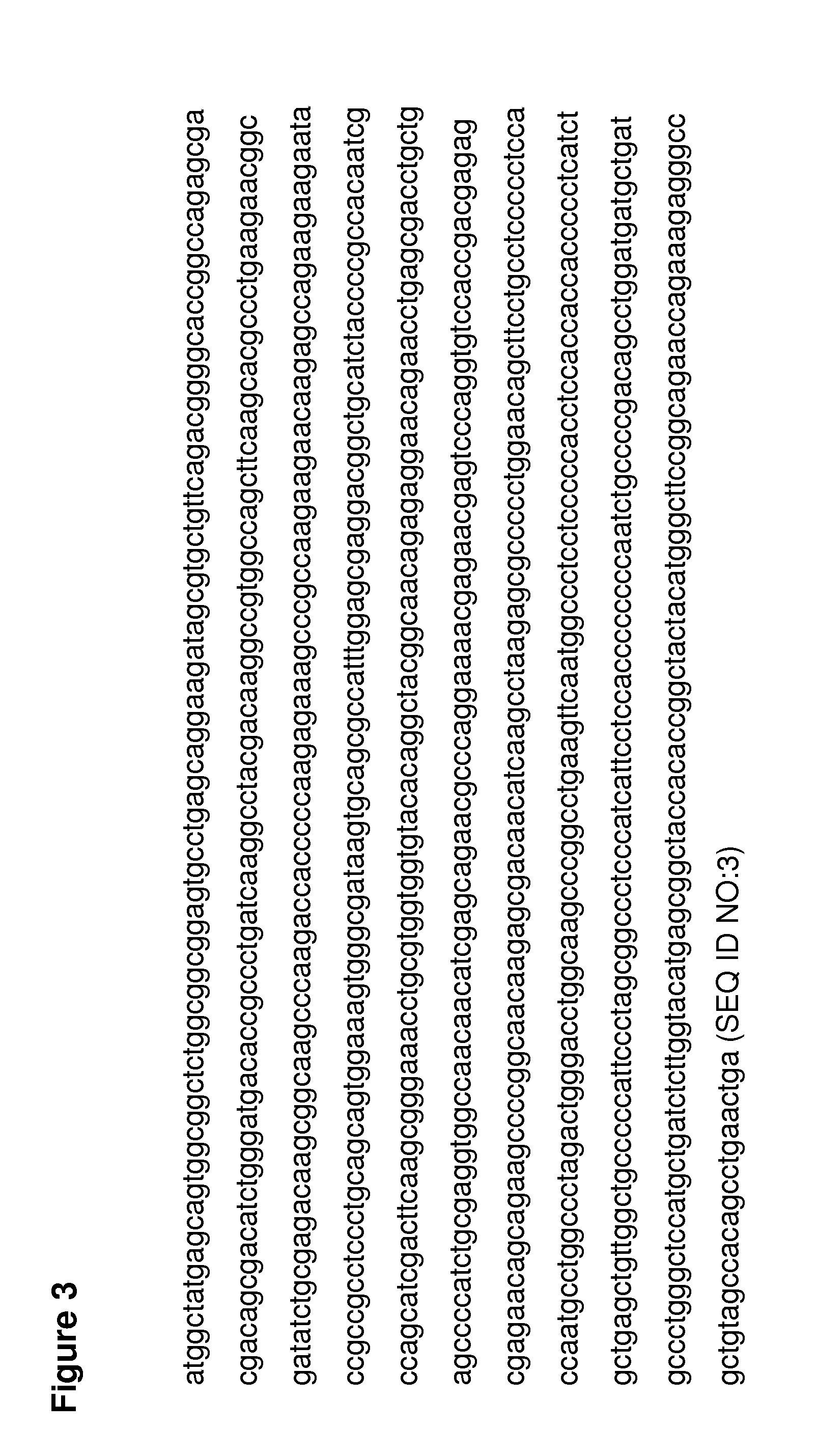 Compositions and methods for treating spinal muscular atrophy