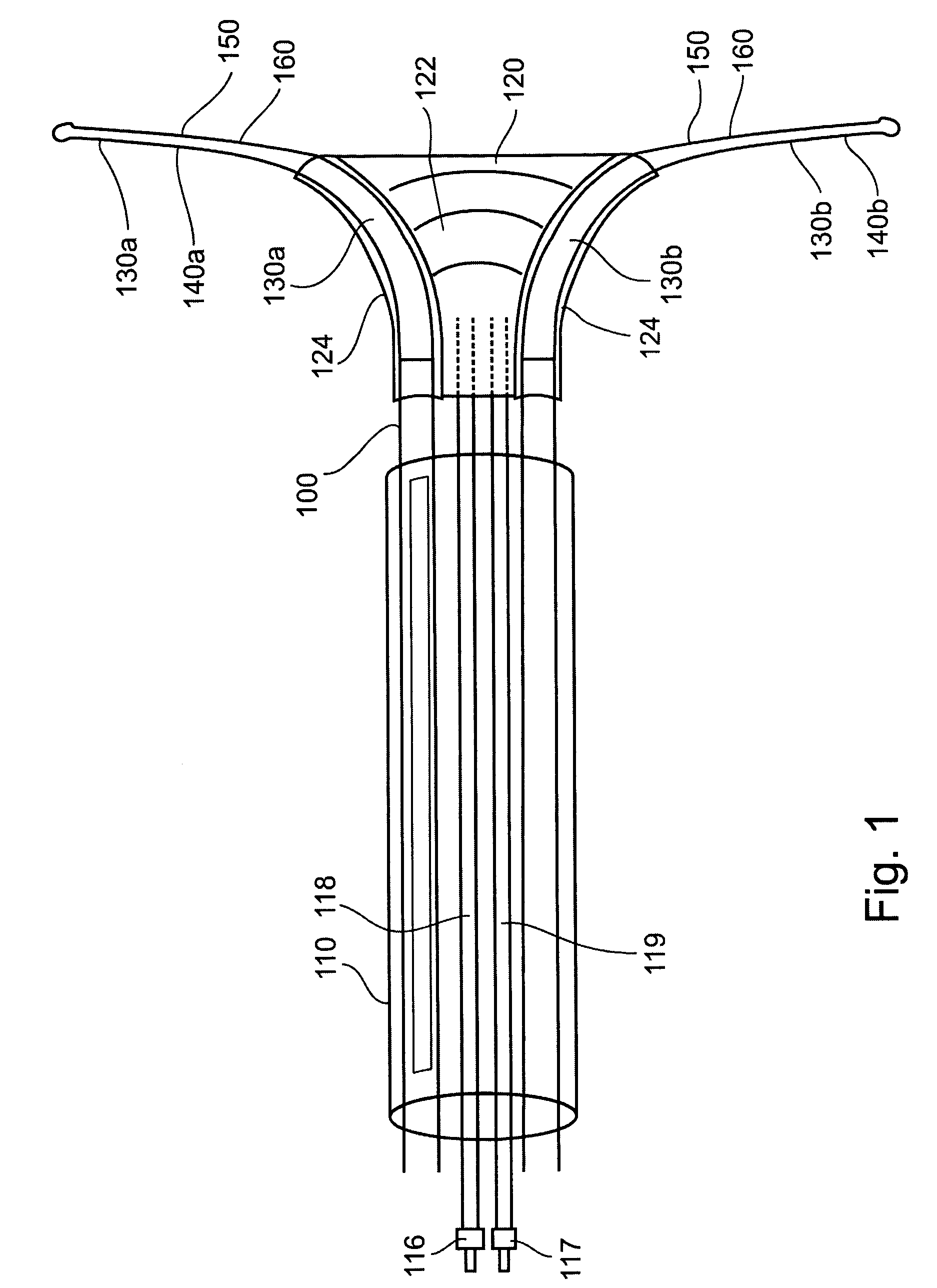 Endometrial ablation device and method
