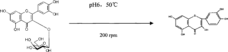 Method for transforming hyperin into quercetin by enzyme reaction