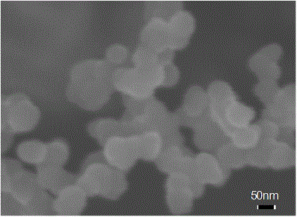 Preparation method of lithium ion battery negative electrode material