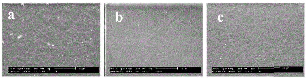 Preparation method of cornea repair material of double-layer structure