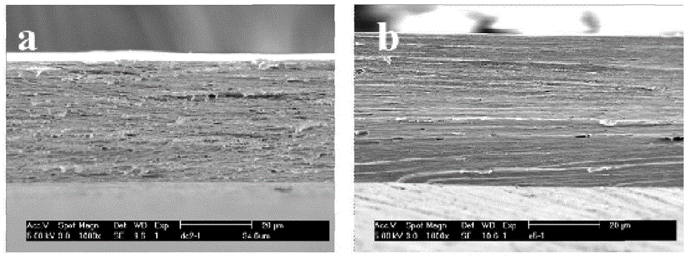 Preparation method of cornea repair material of double-layer structure