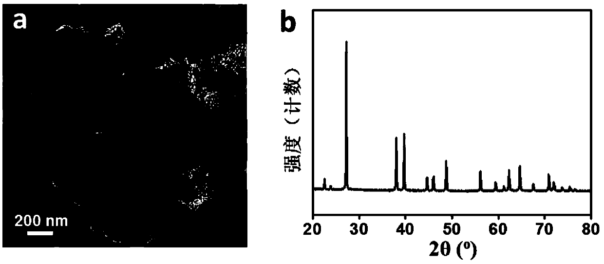 Bismuth-based catalyst for electrocatalytic CO2 reduction to form formic acid and preparation method and application thereof
