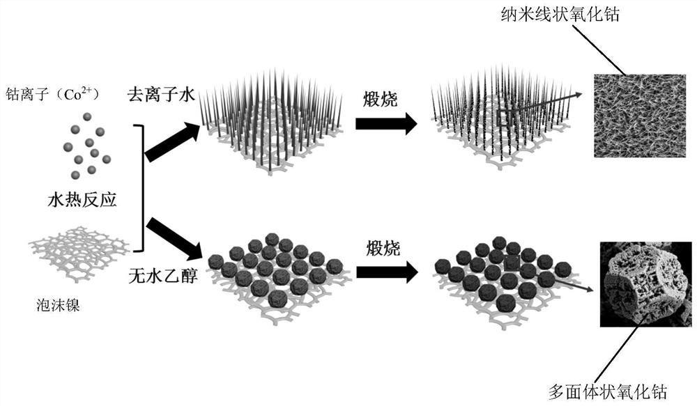 Preparation method of nickel foam loaded cobalt monoxide nanomaterials with different shapes