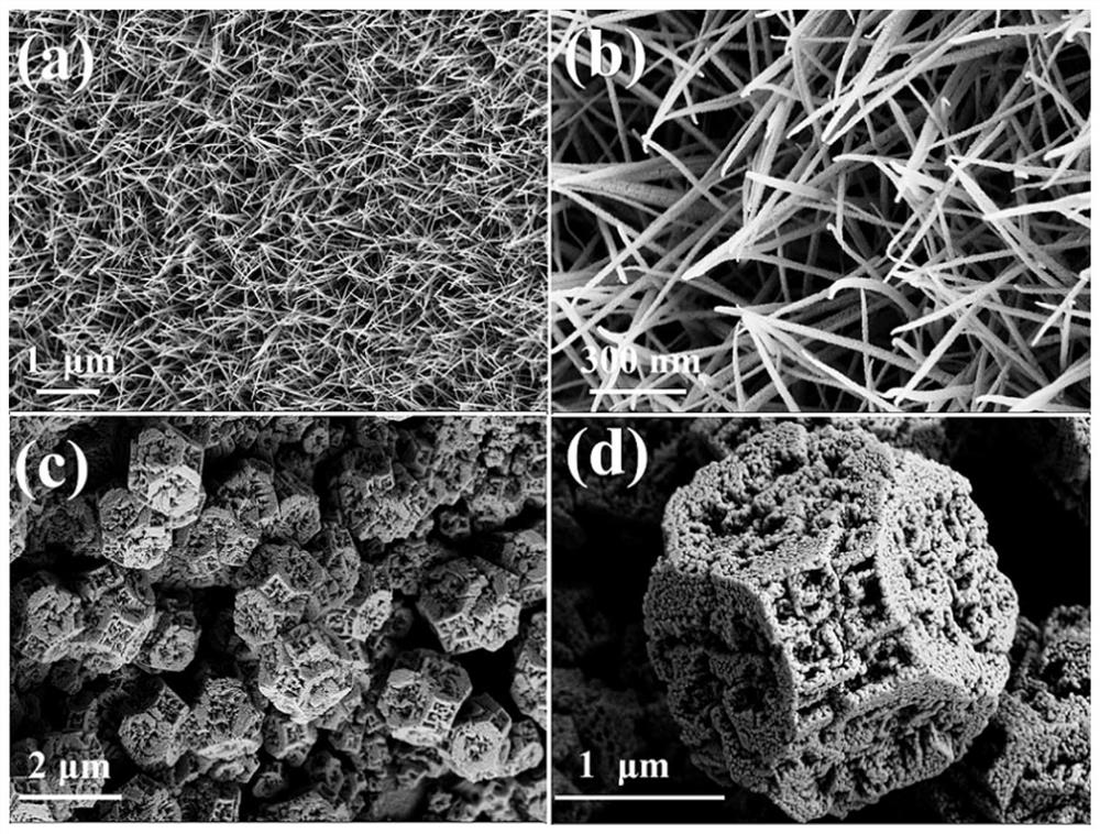 Preparation method of nickel foam loaded cobalt monoxide nanomaterials with different shapes