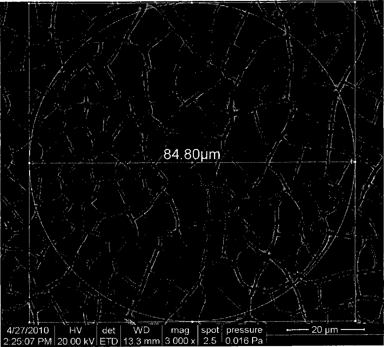 Bioabsorbable compound stent and preparation method thereof