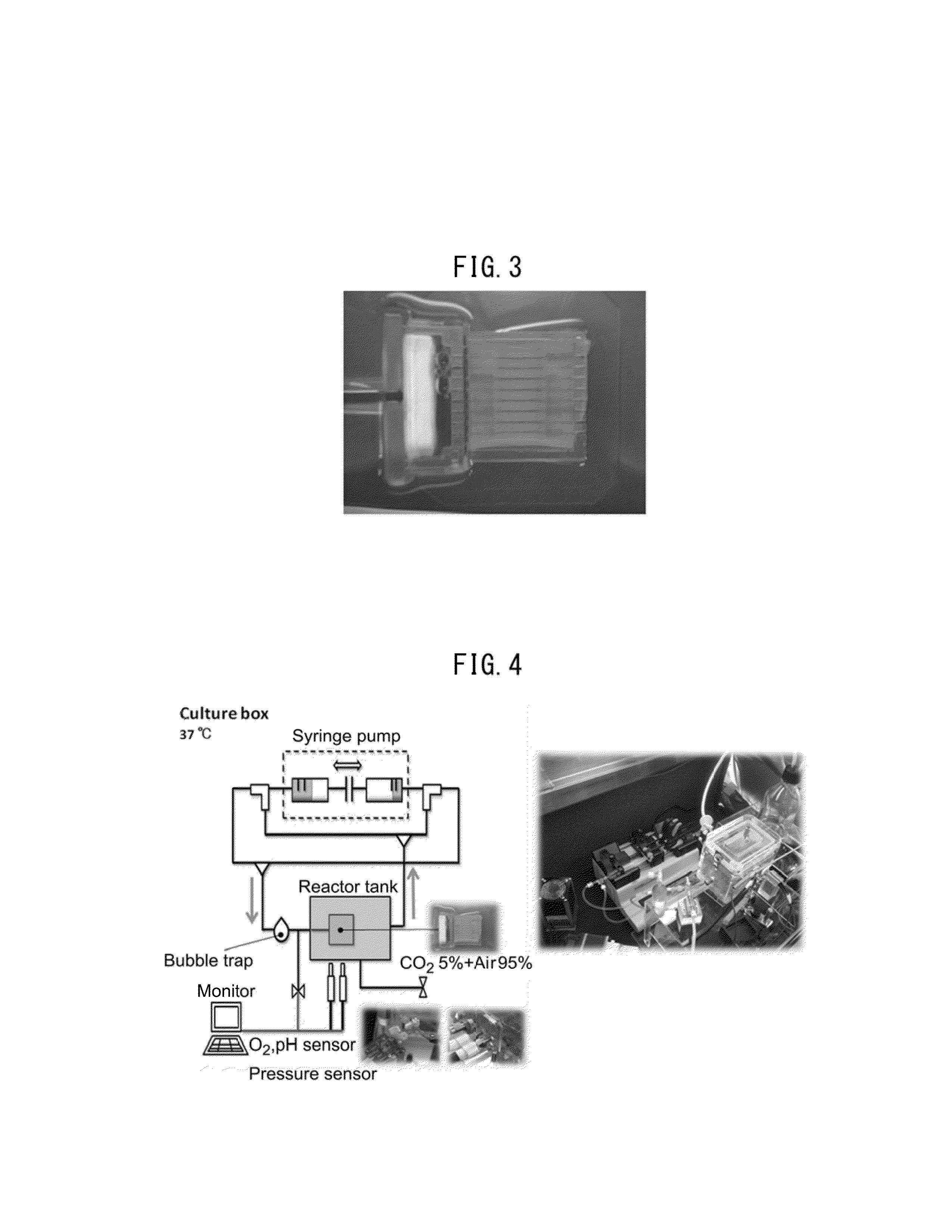Method for manufacturing multilayered cell sheet, multilayered cell sheet having vascular network obtained thereby, and method of use thereof