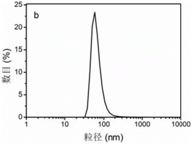 Photosensitizer nanoparticle as well as preparation method and application thereof