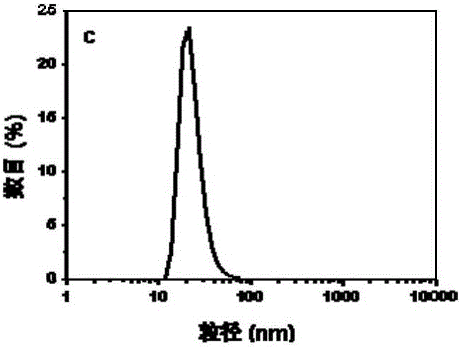 Photosensitizer nanoparticle as well as preparation method and application thereof