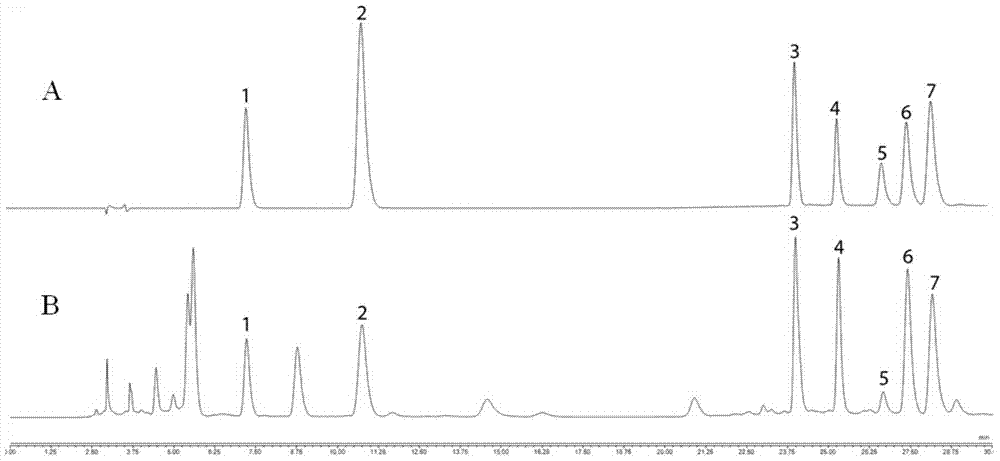Method for simultaneous detection of iridoid glycoside, phenylethanoid glycoside, flavone and dicaffeoyl ingredients in lamiophlomis rotata