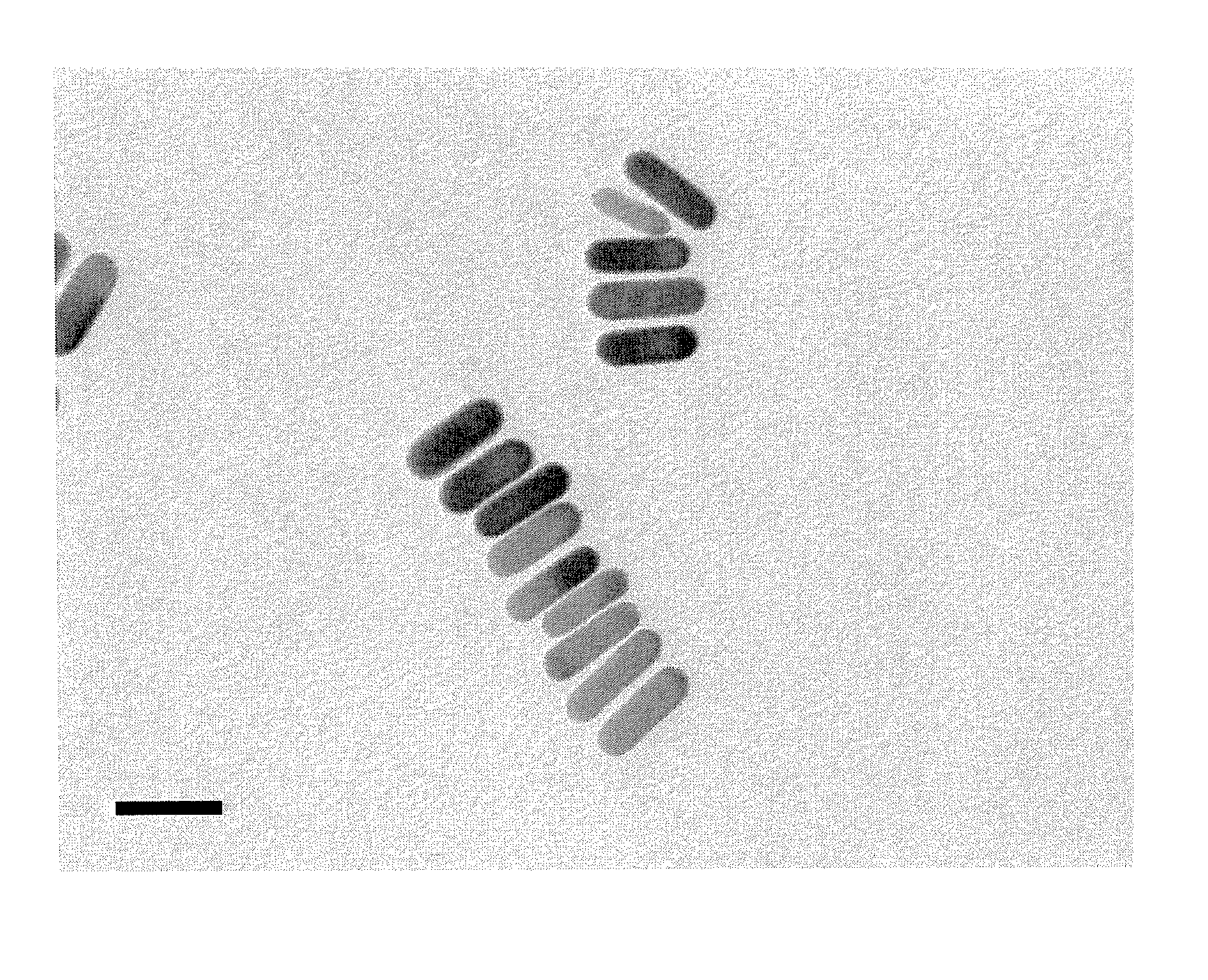 Nanoparticle composition, a device and a method thereof