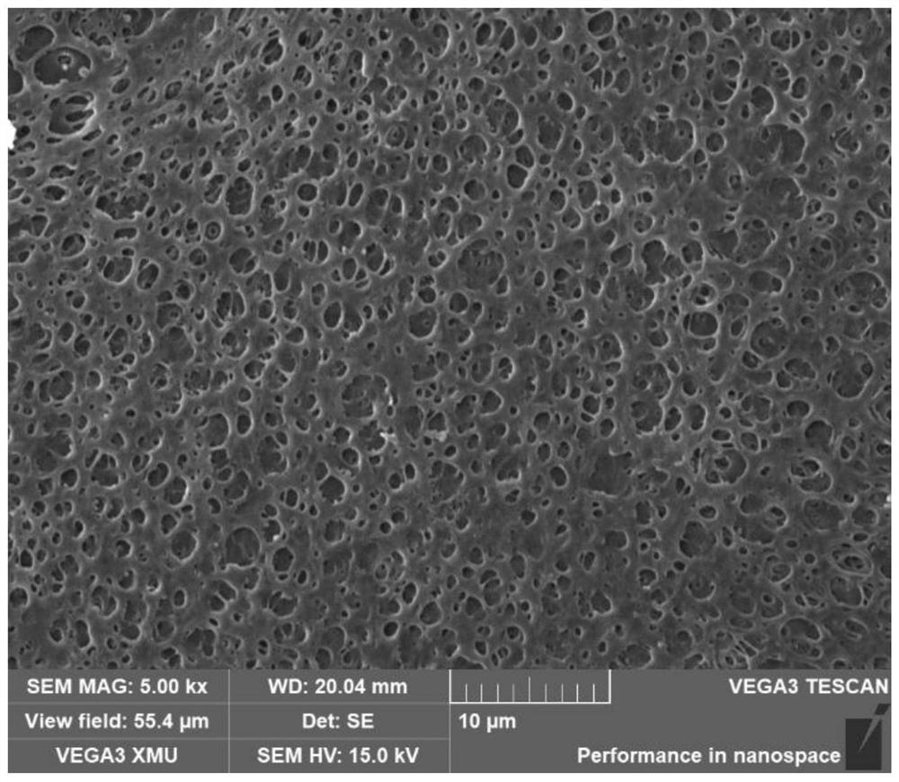 Artificial bone material without loss of elastic modulus as well as preparation method and application of artificial bone material