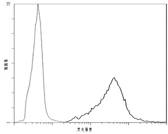 Pichia pastoris wall protein gcw12 and its surface display system and construction method