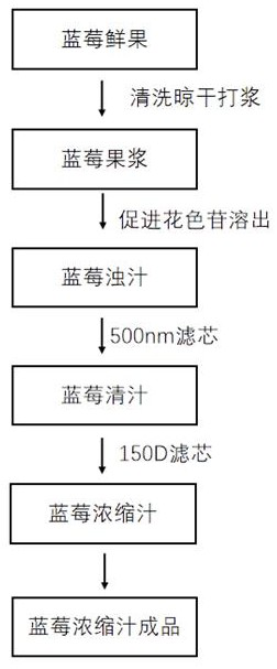 Method for efficiently preparing blueberry concentrated juice with high anthocyanin content