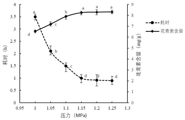 Method for efficiently preparing blueberry concentrated juice with high anthocyanin content