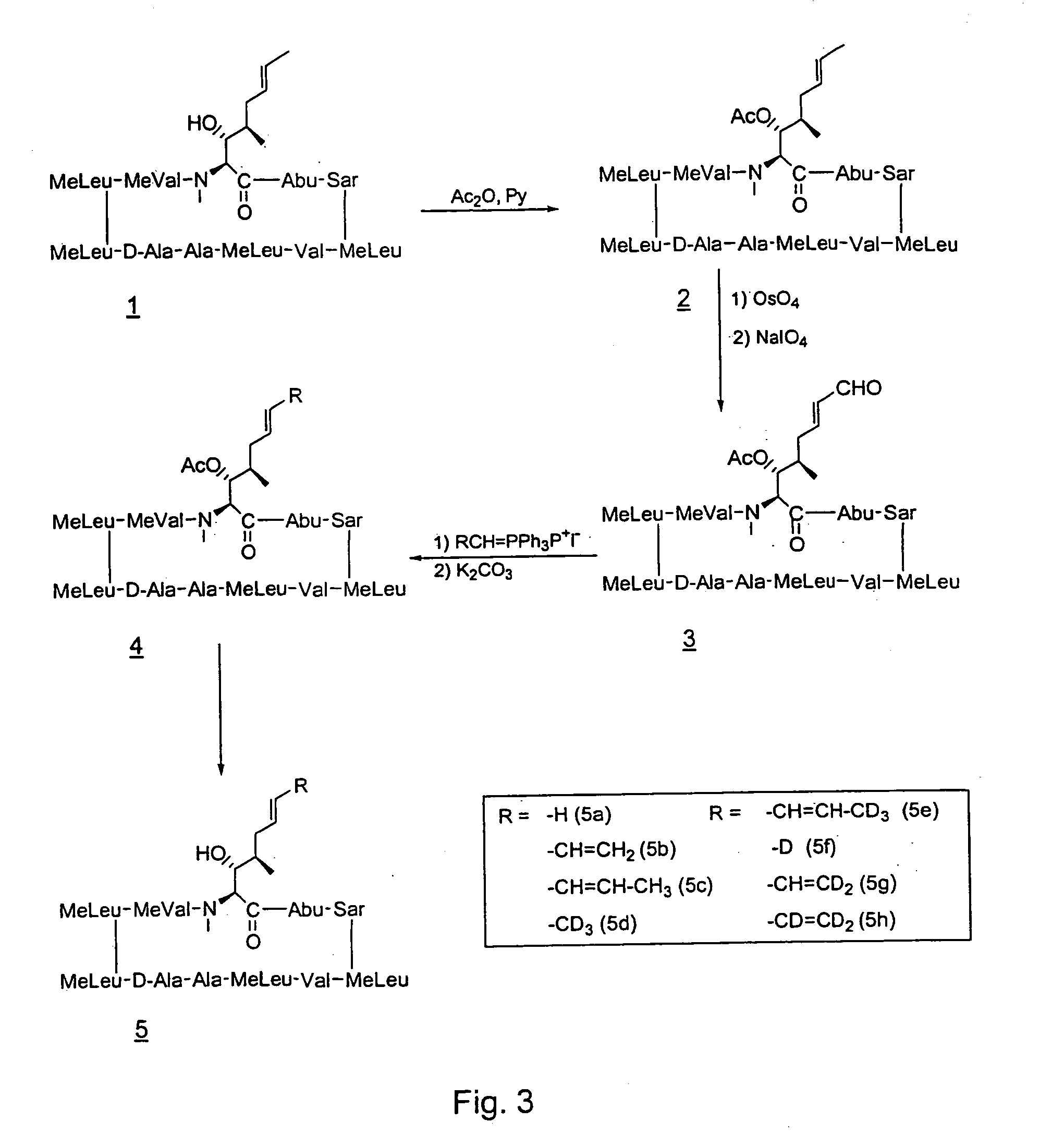 Deuterated cyclosporin analogs and their use as immunomodulating agents