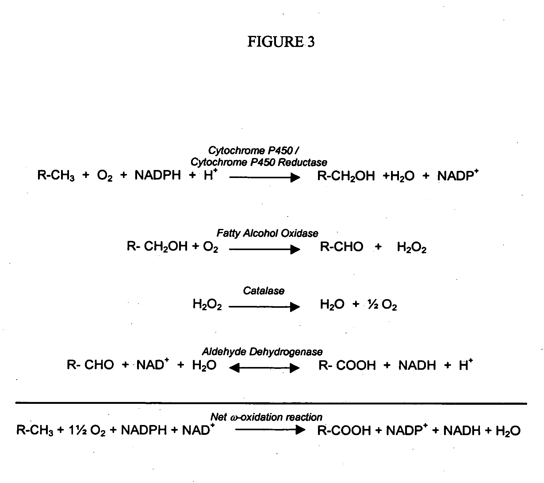 Method for controlling biooxidation reactions