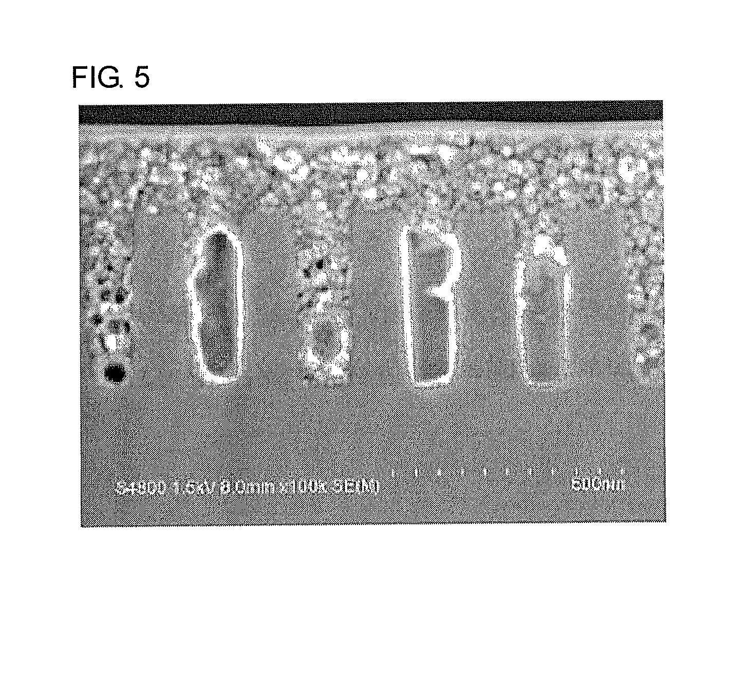 Resist underlayer film forming composition containing phenylindole-containing novolac resin