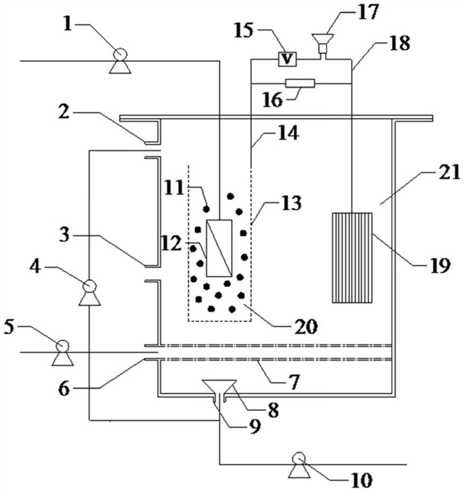 Denitrification anaerobic methane oxidation film bioelectrochemical reaction device and method