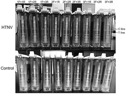 Nucleic acid set, kit and detection method for detecting Hantaan viruses through RPA (recombinase polymerase amplification)