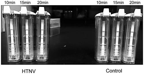 Nucleic acid set, kit and detection method for detecting Hantaan viruses through RPA (recombinase polymerase amplification)