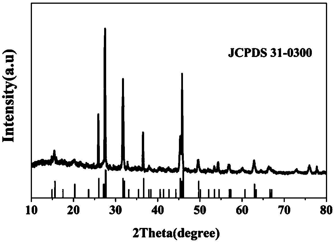 Preparation method of calcium silicate porous ceramic membrane with adjustable pore shape