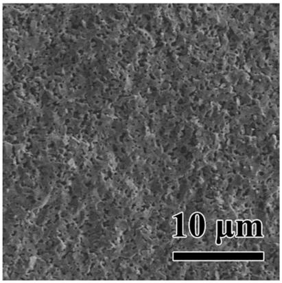 Preparation method of calcium silicate porous ceramic membrane with adjustable pore shape