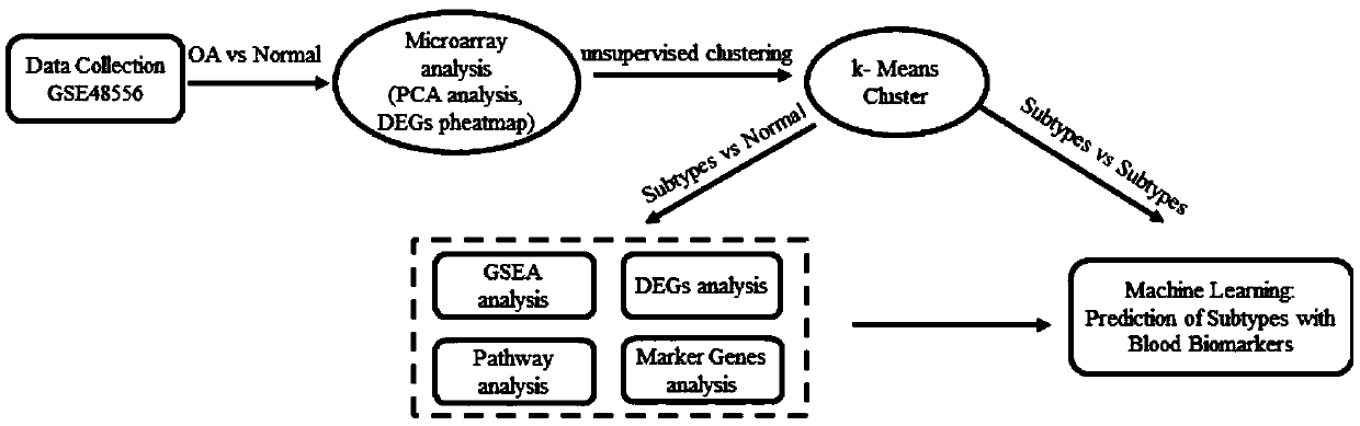 System for diagnosing osteoarthritis subtype through blood sample based on machine learning