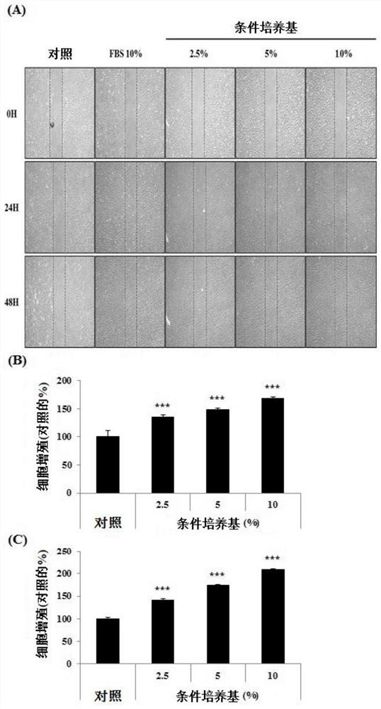Cosmetic composition and pharmaceutical composition for alleviating atopic dermatitis, hair loss, and wounds or reducing skin wrinkles