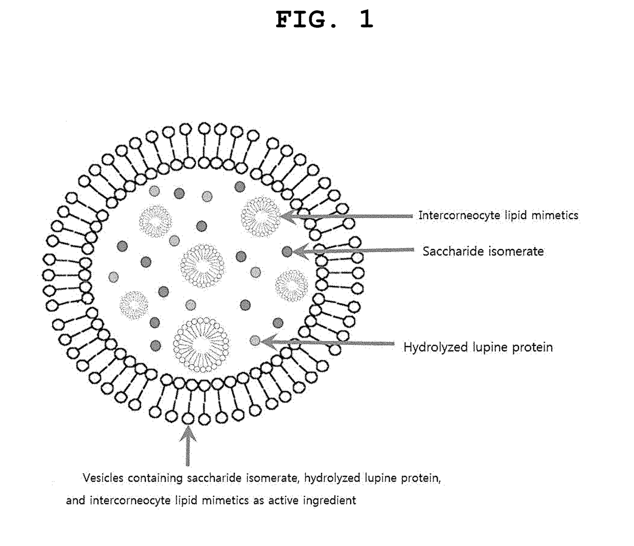 Vesicles containing saccharide isomerate, hydrolyzed lupine protein, and intercorneocyte lipid mimetics as active ingredient, and composition for skin external application comprising the same