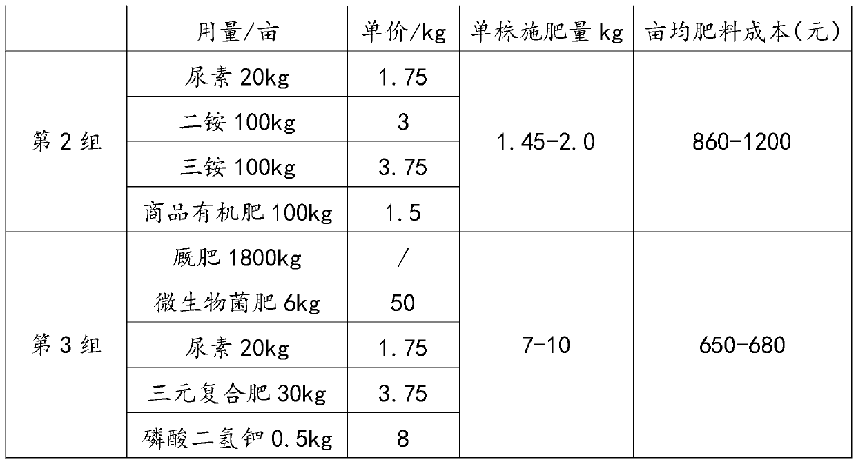 Microbial mixed fertilizer for lycium barbarum cultivation and preparation method thereof