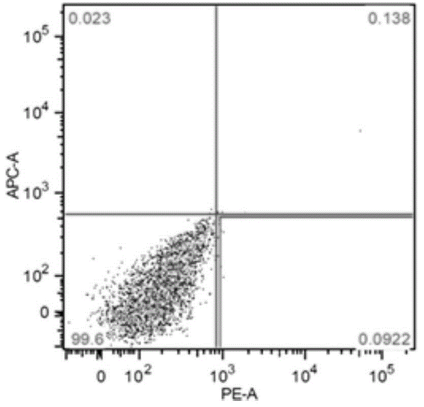 Cell culture medium, and preparation method and application thereof