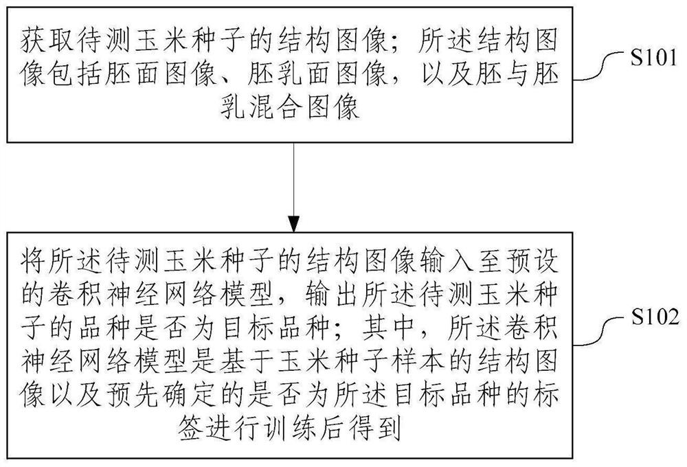 Corn seed variety authenticity identification method and device