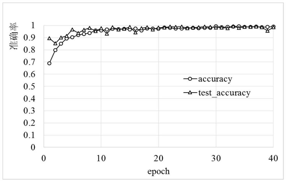 Corn seed variety authenticity identification method and device