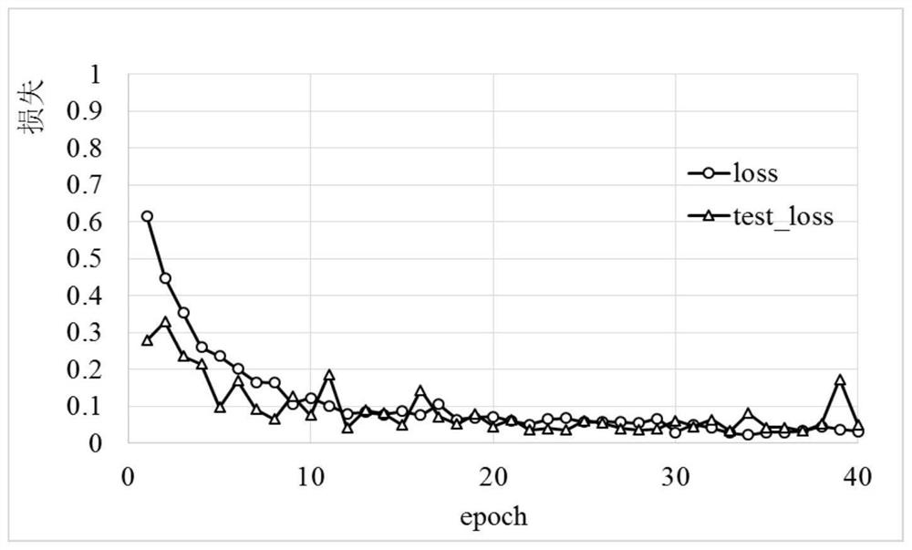 Corn seed variety authenticity identification method and device