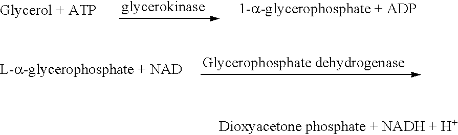 Use of aquaglyceroporin modulators as slimming agent