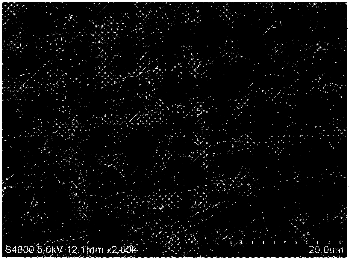 A kind of preparation method of elastic conductive paste