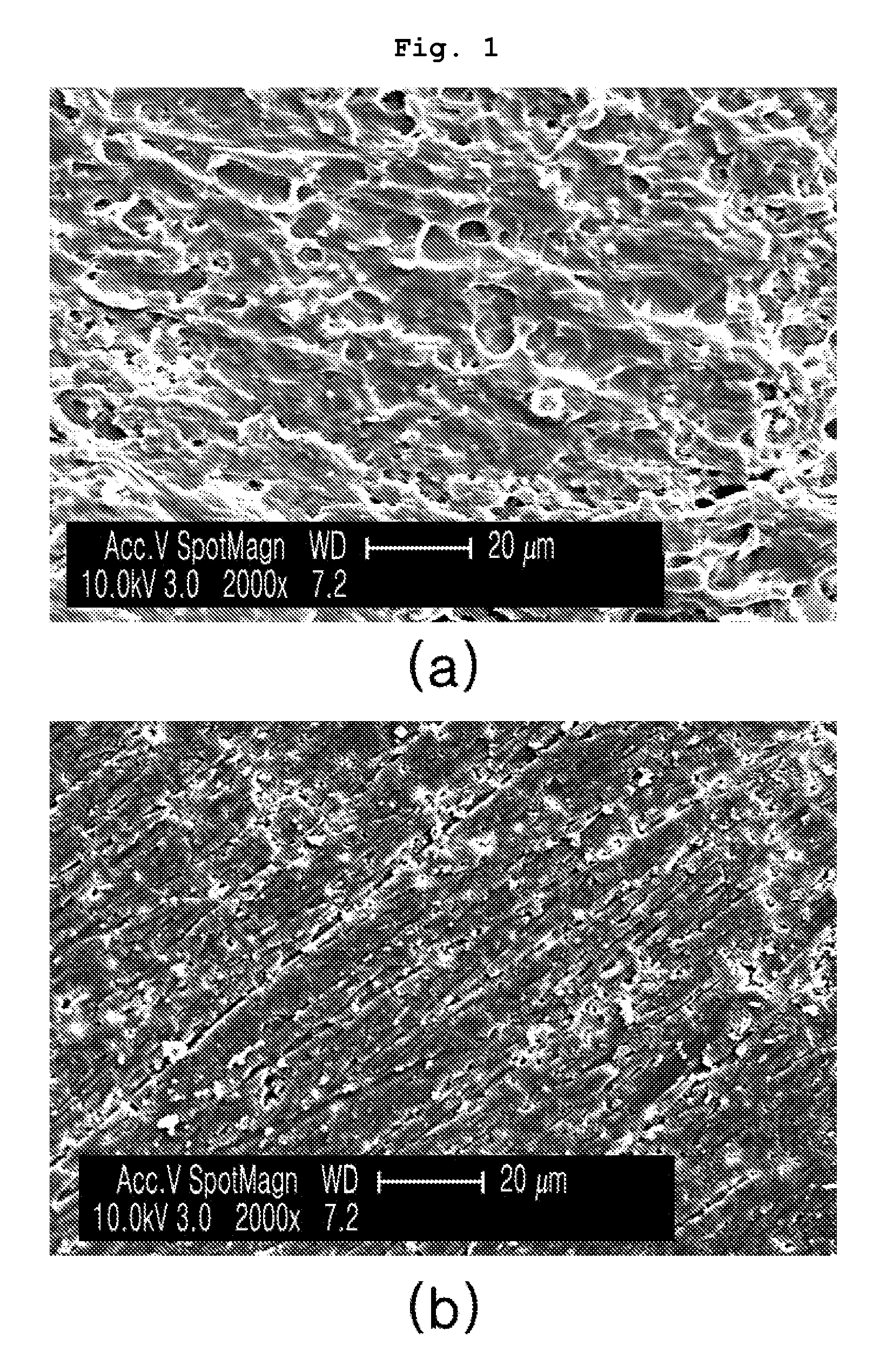 Radiation shielding members including nano-particles as a radiation shielding material and method for preparing the same