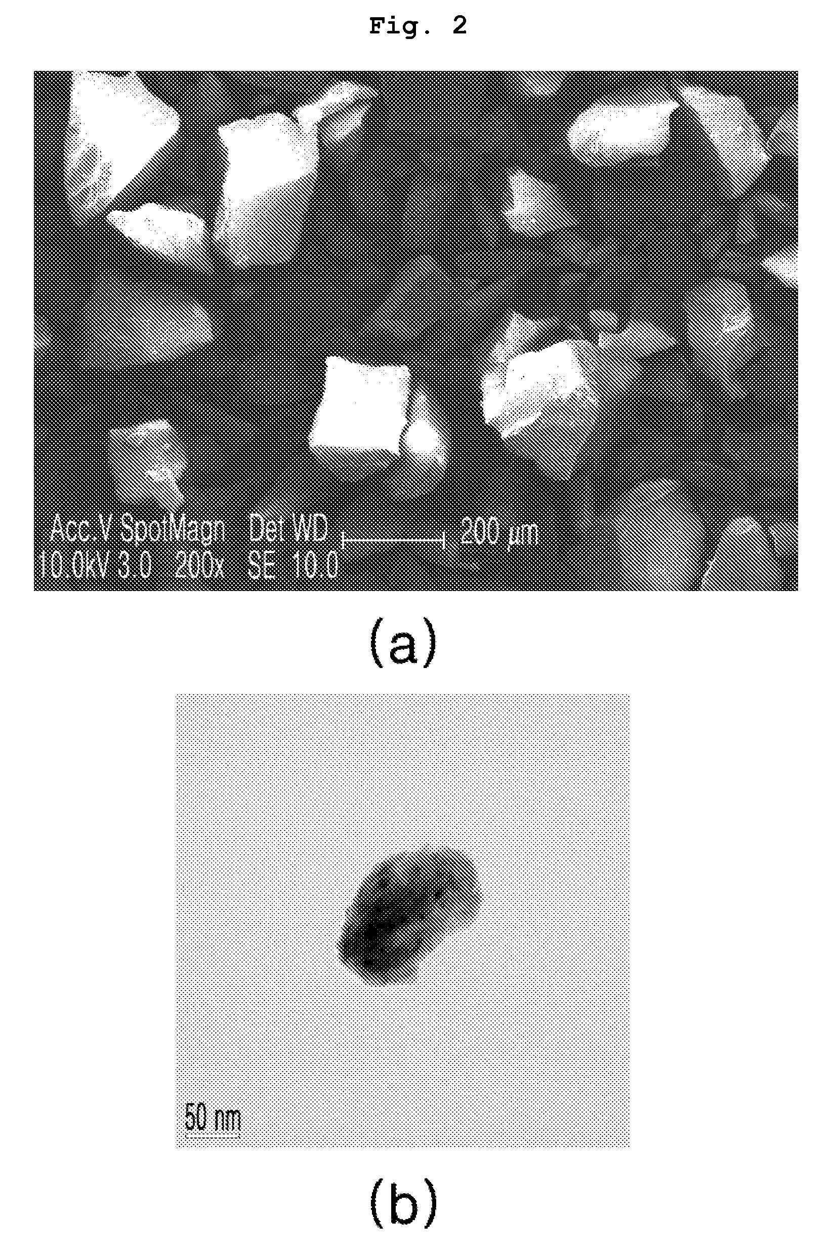 Radiation shielding members including nano-particles as a radiation shielding material and method for preparing the same
