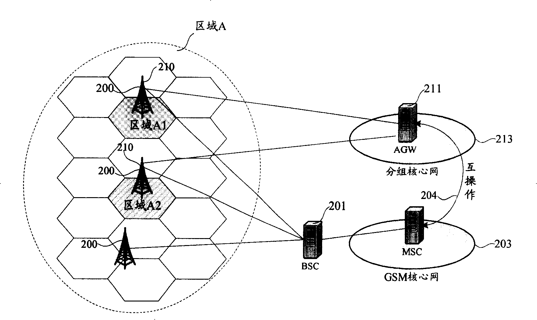 Network system with multi-wireless access system for coexistence