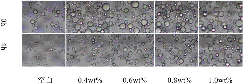 High-stability oil spill dispersant and preparation method thereof