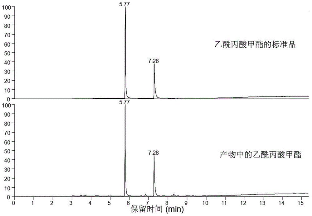 Method for preparing methyl levulinate from biomass saccharide by using acidified montmorillonite as catalyst