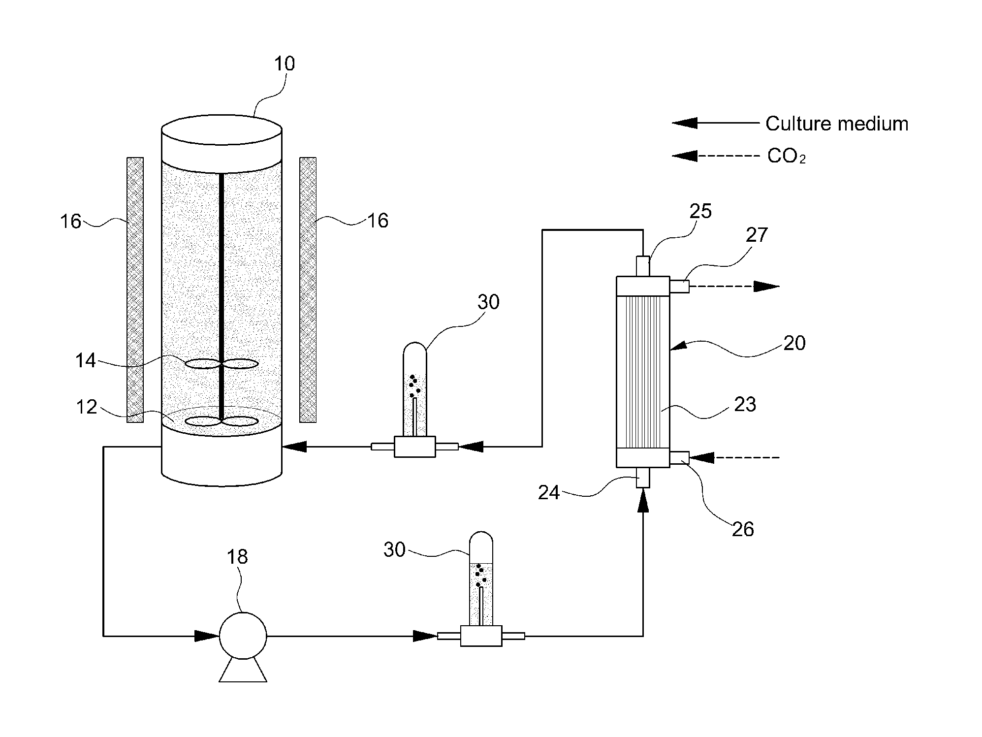 Photobioreactor for culturing microalgae using hollow fiber membrane