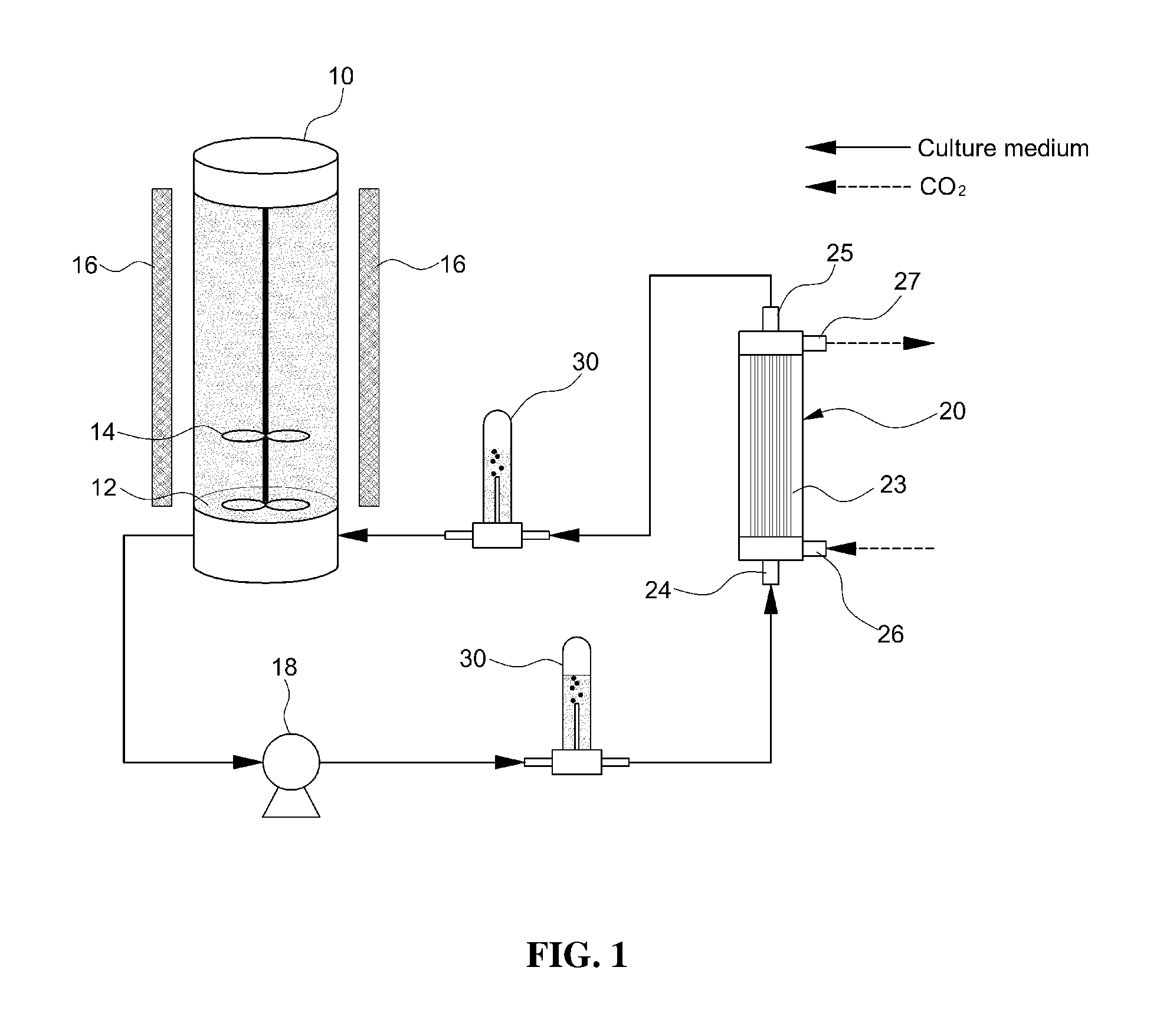 Photobioreactor for culturing microalgae using hollow fiber membrane