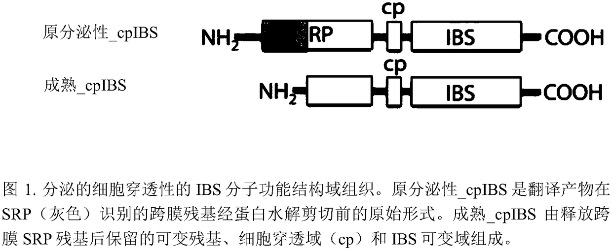 Anti-cancer and anti-inflammatory therapeutics and methods thereof