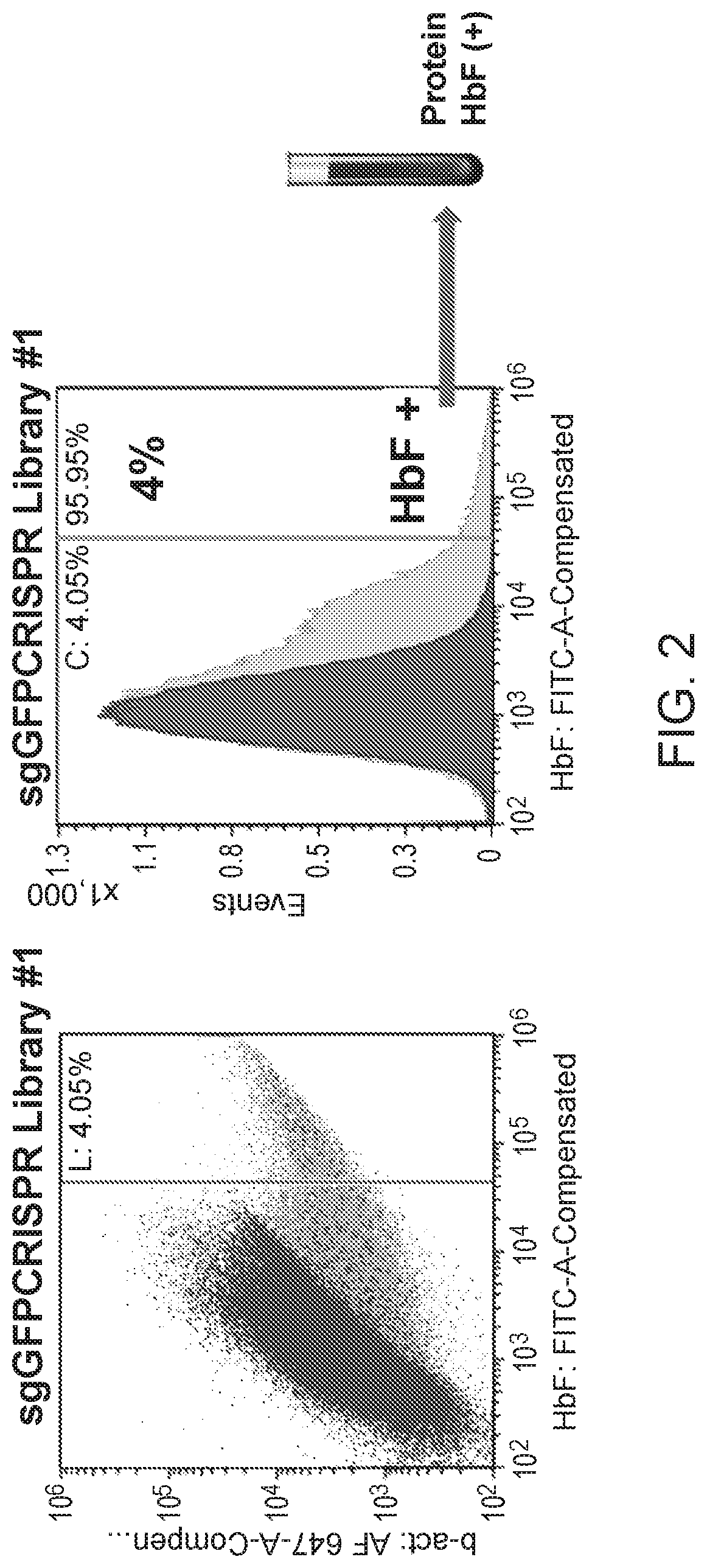 Compositions and methods for increasing fetal hemoglobin and treating sickle cell disease